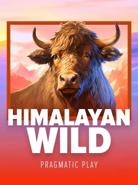 Khuyến Mãi Casino Hấp Dẫn Nhất Tháng Này Bạn Không Nên Bỏ Lỡ